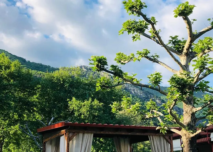 Paradise Káto Loutrákion